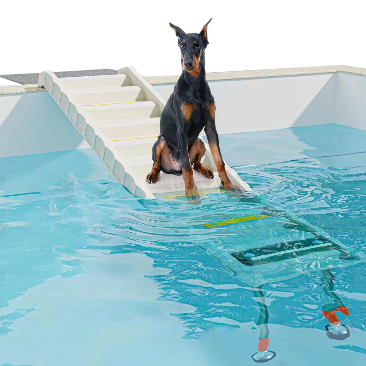 Photo 1 of Foldable Dog Pool Ramp with 33" Legs for Free Height Adjustment,Safe & Easy Access dog water ramp for pool, Pool Ramp for Dogs Up to 200lbs (White)