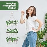 XXXFLOWER Wall Hanging Propagation Station with 15 Test Tubes view 5