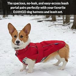 DJANGO Dog Jacket & Raincoat – Lightweight