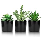Hopewood Artificial Succulents Faux Potted Plant Decor, Small Fake Plants in Black Pot, Realistic and Lifelike for Book Shelf, Desk Decor, Home Office, Kitchen, or Bathroom Decor - Pack of 3