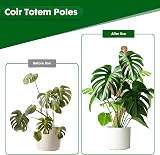 Mactoou Moss Pole 65cm 4Pcs Coir Moss Poles for Monstera Bendable Totem Pole Kit view 3