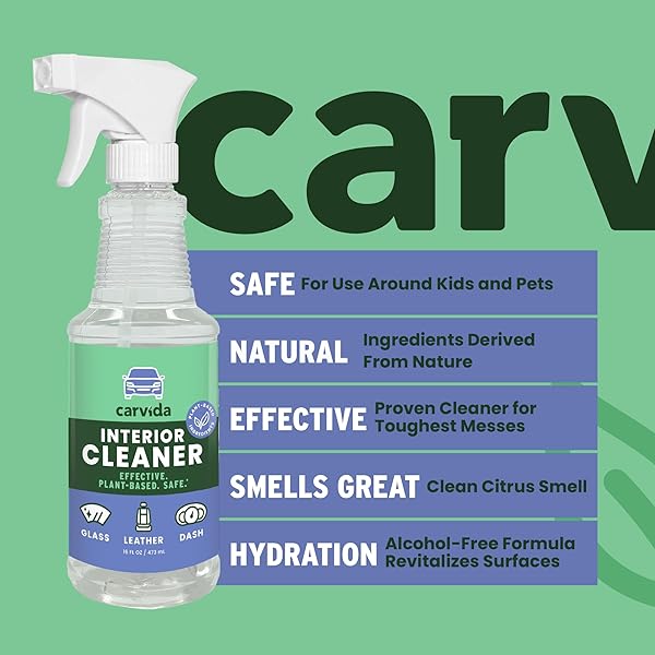 CARVIDA INTERIOR CLEANER, NON-TOXIC ALL-PURPOSE CAR CLEANING SPRAY, NATURAL GRAPEFRUIT SCENT, 16OZ