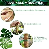 tallkeey Moss Pole Monstera Support 114cm Bendable Coco Coir Totem Pole view 6