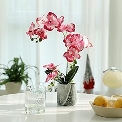 Wenhuidr Red Pink Fake Orchids Flowers in Pot