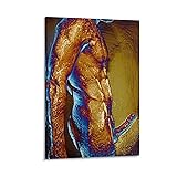 CLDGPAY Modern Art Naked Man Erection Poster