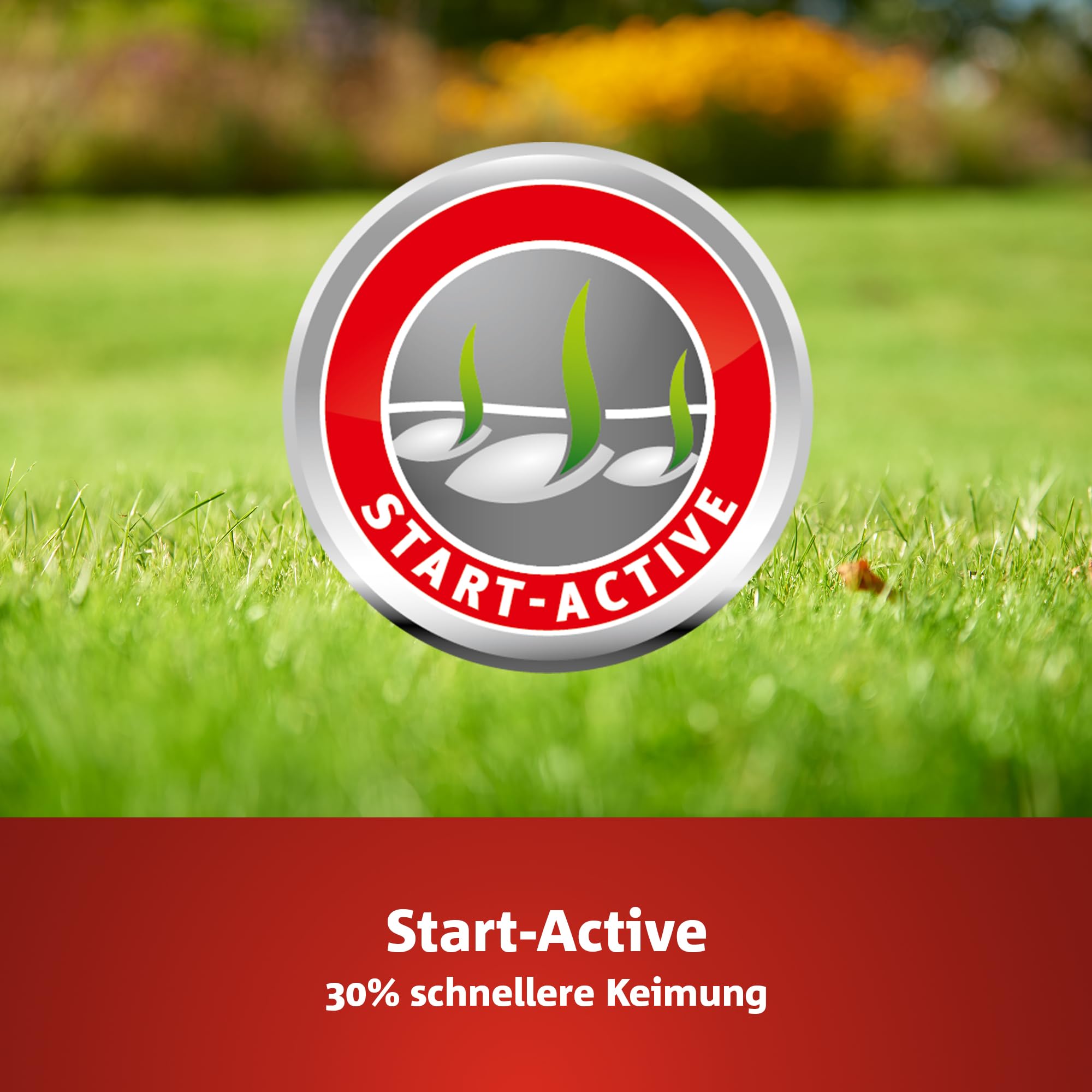 WOLF-Garten Turbo-Nachsaat zur Rasensanierung LR120 (für 120 m2, hohe Dichte mit ca. 70.000 Trieben/m2, für alle Rasentypen geeignet, mit WOLF-Garten Keimgarantie, im 2,4kg Karton) 3826042 4