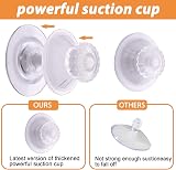 LIANGPIN Acrylic Window Bird Feeder, Extra Strong Suction Cups, Drainage Holes view 3