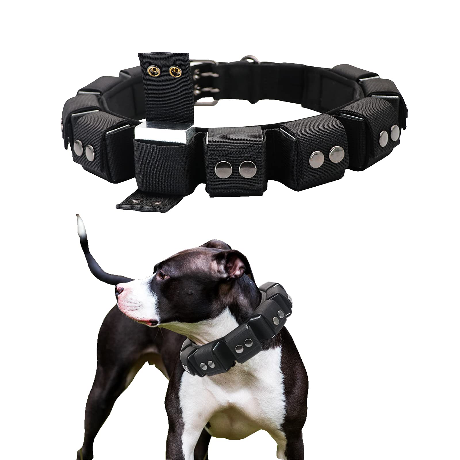 Walktime Tactical Weighted Dog Collar - Weights for Training & Exercise - Small, Medium, Large Dogs