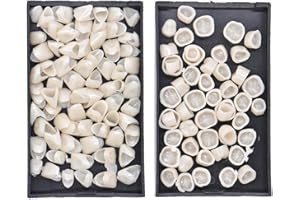 Angzhili 120Pcs Dental Temporary Crown Veneers,Fake Tooth Cap Crown Veneer,Anterior and Molar Posterior Teeth Cap Filler for 