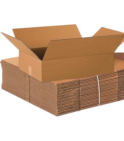 Amazon.com: BOX USA 22x16x6 Flat Corrugated Boxes, Flat, 22L