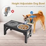 Polegas 3-in-1 Elevated Dog Bowl Stand 5 Heights Slow Feeder Stainless view 4