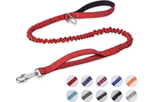 BUMBIN 6Ft Dog Leash Large Dogs, Bungee Dog Leash with 2 Handles, Heavy Duty Dog Leashes for Medium Small Dogs, No Pull Shock Absorbing Dog Leash with Car Seat Belt for Training, Red
