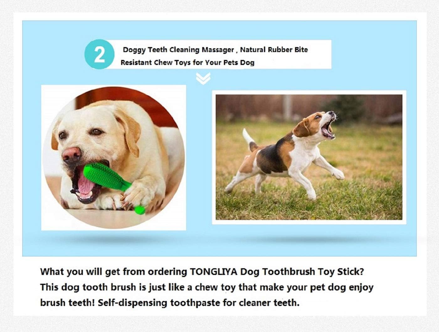 actibrush dog toothbrush