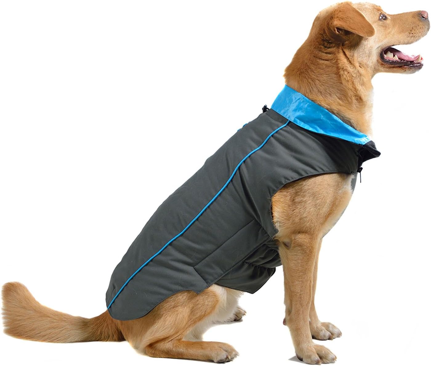 Dog Gone Smart Trailblazer Jacket with Repelz-It Nano-Protection Coat for Dogs, 12", Grey with Teal