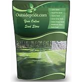 Outsidepride SPF-30 Hybrid Bluegrass Seeds - 10 lbs. Heat &amp; Drought Tolerant, Texas Bluegrass &amp; Kentucky Bluegrass Seed Mix for Challenging Climates, OptiGrowth Coated for Better Establishment