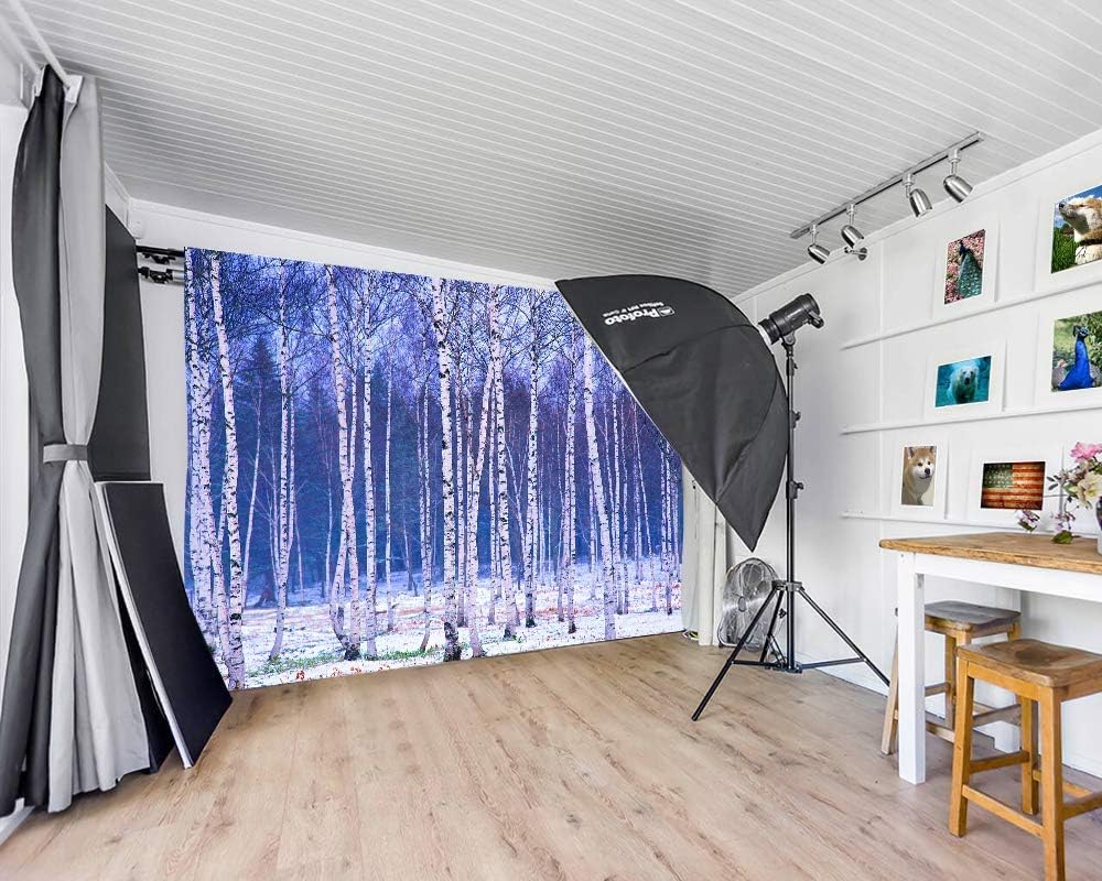 Electronics 5x7ft Vinyl Winter Birch Backdrops Decor Landscape Poplar Living Room Decoration Pictures Background Shooting Props Birthday Present Lyls1152 For Party Decoration Birthday Youtube Videos School Photos Accessories Supplies