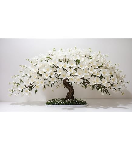 Amazon.com : 10 Orchid Bonsai Tree Seeds for Planting : Patio, Lawn & Garden