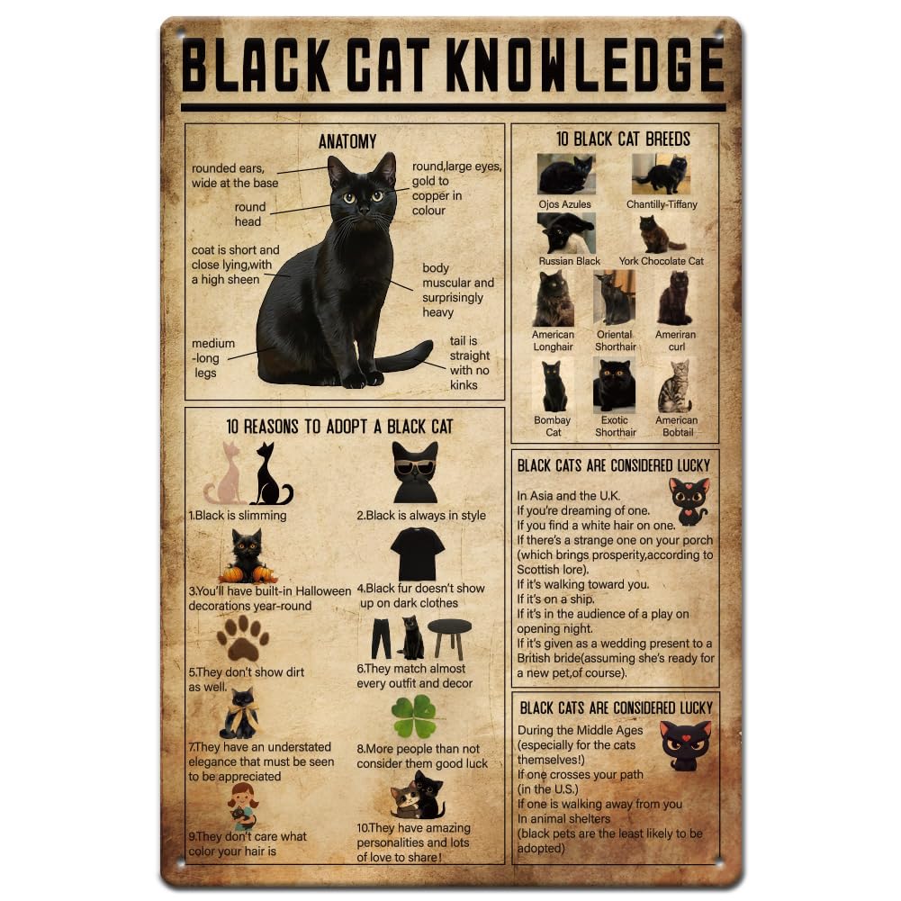 SUPERDANT Black Cat Metal Signs Cat Knowledge Tin Sign Funny Signs and Plaque Vintage Decor Cute Kitty Wll Plaques Man Cave Sign for Home Bar Cafe Wall Decor