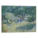 Wieco Art Olive Grove Canvas Print of Vincent Van