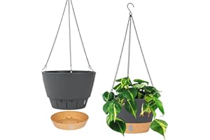 QCQHDU 2 Pack Hanging Planters for Indoor Outdoor Plants, 10 Inch Hanging Baskets Flower Pots with Reservoir Tray & Visible Water-Level