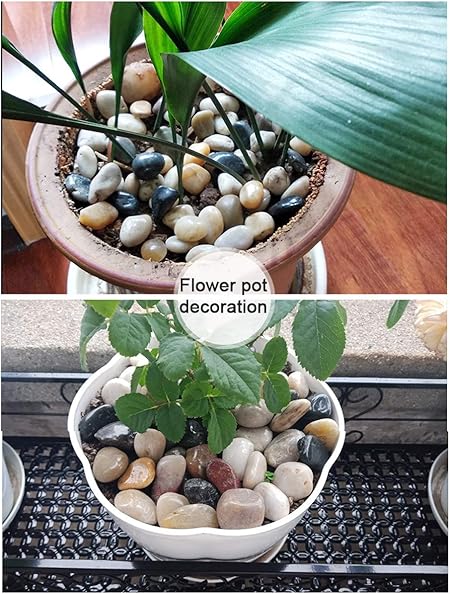 Aquarium Grind Rivier Rock Kleine Decoratieve Erwten Grind Natuurlijke Gemengde Kleur Stenen Voor Planten Aquarium Landschapsarchitectuur Vaas Vulstoffen Filter Materiaal Size 1 2cm 5kg Amazon Nl