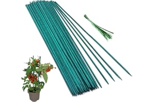 50 Pcs Plant Sticks Green Plant Stakes, Plant Support Garden Stakes for Indoor and Outdoor Plants, GAGINANG Sturdy Garden Wood Bamboo Sticks, Floral Plant Stakes for Garden Potted Plants（15 Inches）