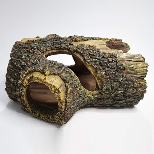 Capetsma Hollow Tree Trunk