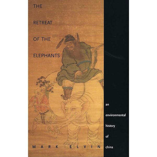 The Pattern of the Chinese Past: Elvin, Mark: 9780804708760