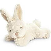 Snuggly Bunny Plush – an Adorable Stuffed Rabbit, Companion to The Children's Illustrated Book You Belong Here, 8.5 inches