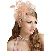 Cizoe Fascinators Hat for Women Tea Party Headband Kentucky Derby Wedding Flower Cocktail Mesh Feathers Hair Clip