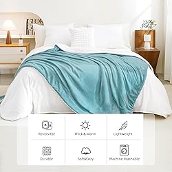 Andency Sherpa Fleece Blankets Queen Size for Bed