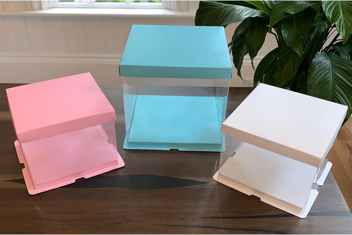 Clear Cake Box Carrier Packing Cake Boxes Transparent Gift Box with lid (2 Box Pack) (8.3X 8 Clear Cake Box Carrier Packing Cake Boxes Transparent Gift Box with lid (2 Box Pack) (8.3X 8