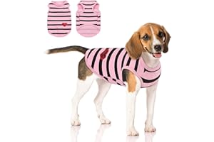 Queenmore Large Dog Shirt,Soft Breathable Dog Shirt for Dogs Cats Boy Girl,Pet Clothes for All Season,Breathable Lightweight Pet Tshirt for Frenchie, Dachshund, Yorkie