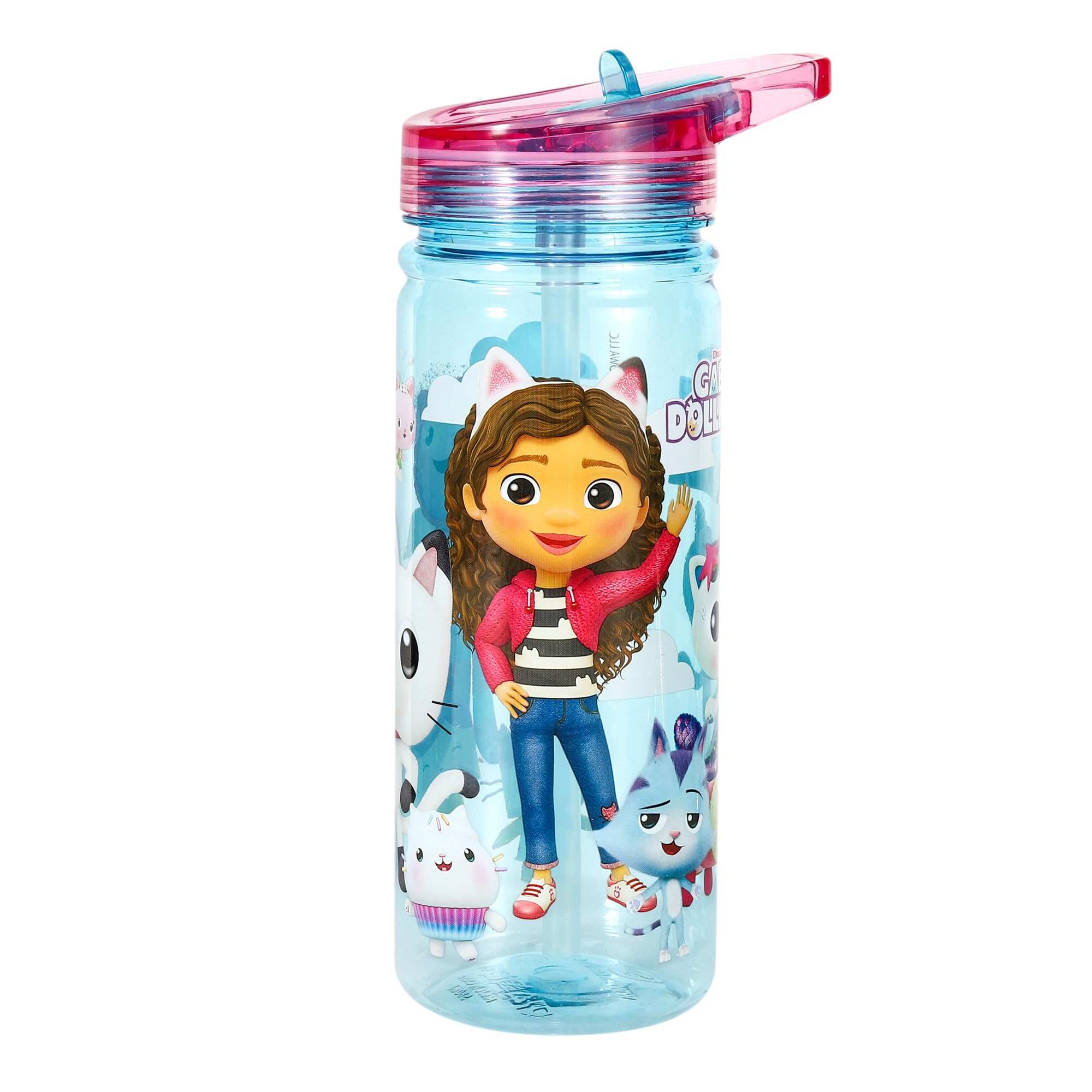 Zawadi Global Gabby's Dollhouse 580ml Water Bottle for Kids School Drinks Bottle Made of Durable Ecozen Reusable BPA Free — image 1