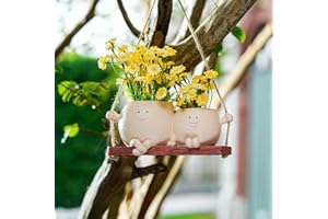 Dolkgy Hanging Planter Swinging Face Planters, Unique Head Flower Pots for Indoor Outdoor Plants, Cute Face Vase Funny Fence Wall Planter Succulent Pots
