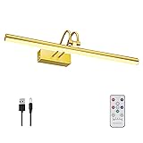 RAIFOOLLY Picture Light,16in Wireless Battery Wall