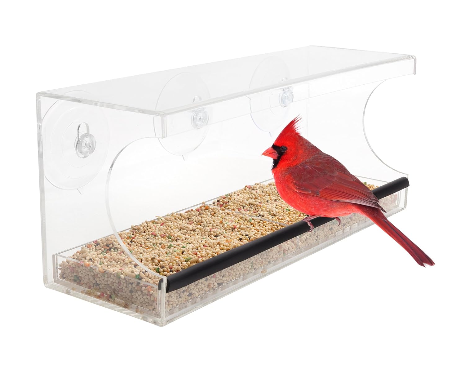 Bird Feeders By Stephanie Clear Acrylic Window Mounted Strong
