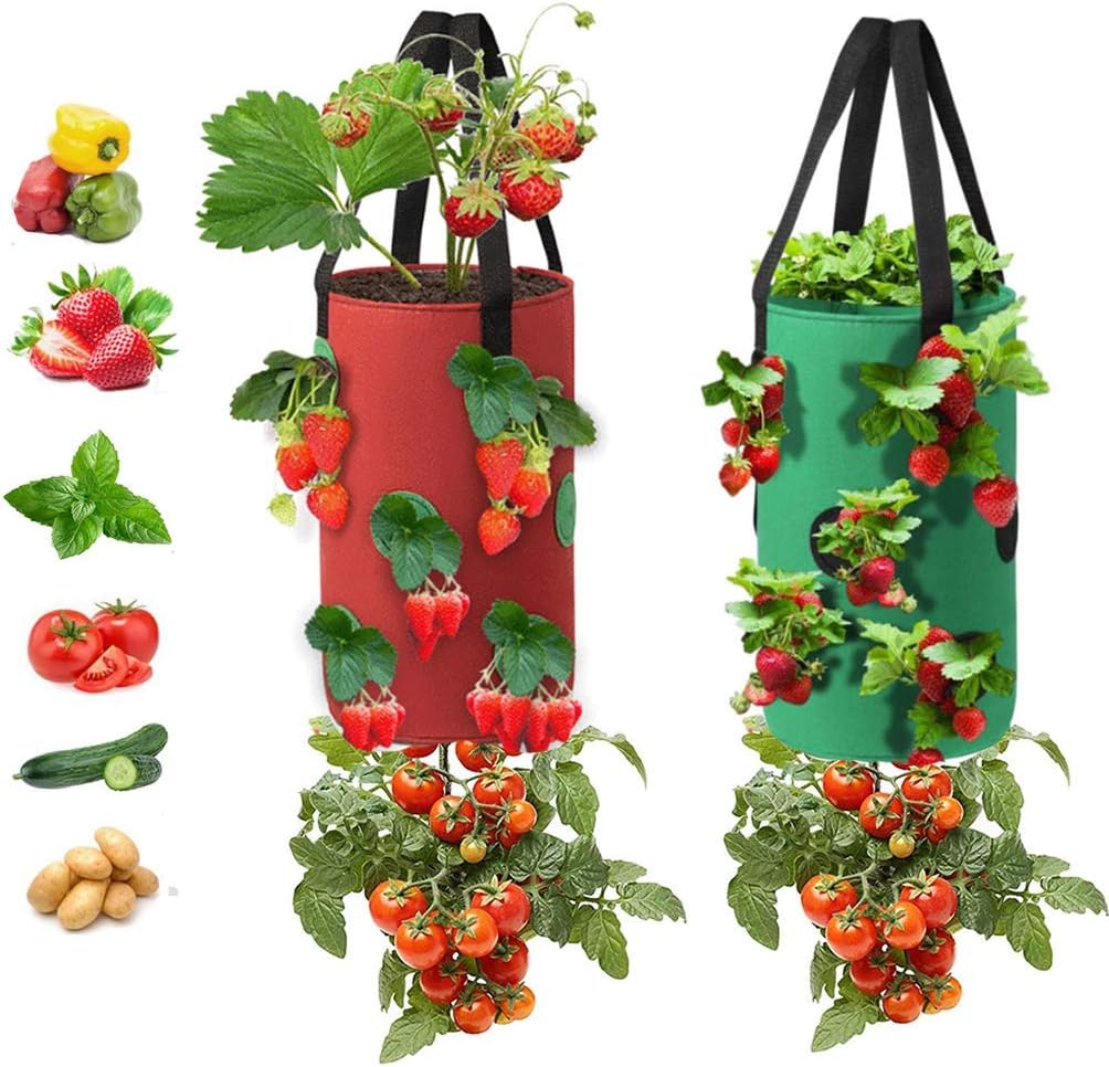 2Pack Strawberry Grow Bags,3 Gallons Non-woven Strawberry Planting Grow Bags with Handles,12 Planting Holes Growing Bags,Hanging Tomato Strawberry Planter Tomato Garden Vegetable Planting(Red + Green)