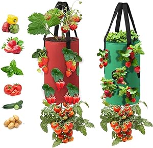 2Pack Strawberry Grow Bags,3 Gallons Non-woven Strawberry Planting Grow Bags with Handles,12 Planting Holes Growing Bags,Hanging Tomato Strawberry Planter Tomato Garden Vegetable Planting(Red + Green)