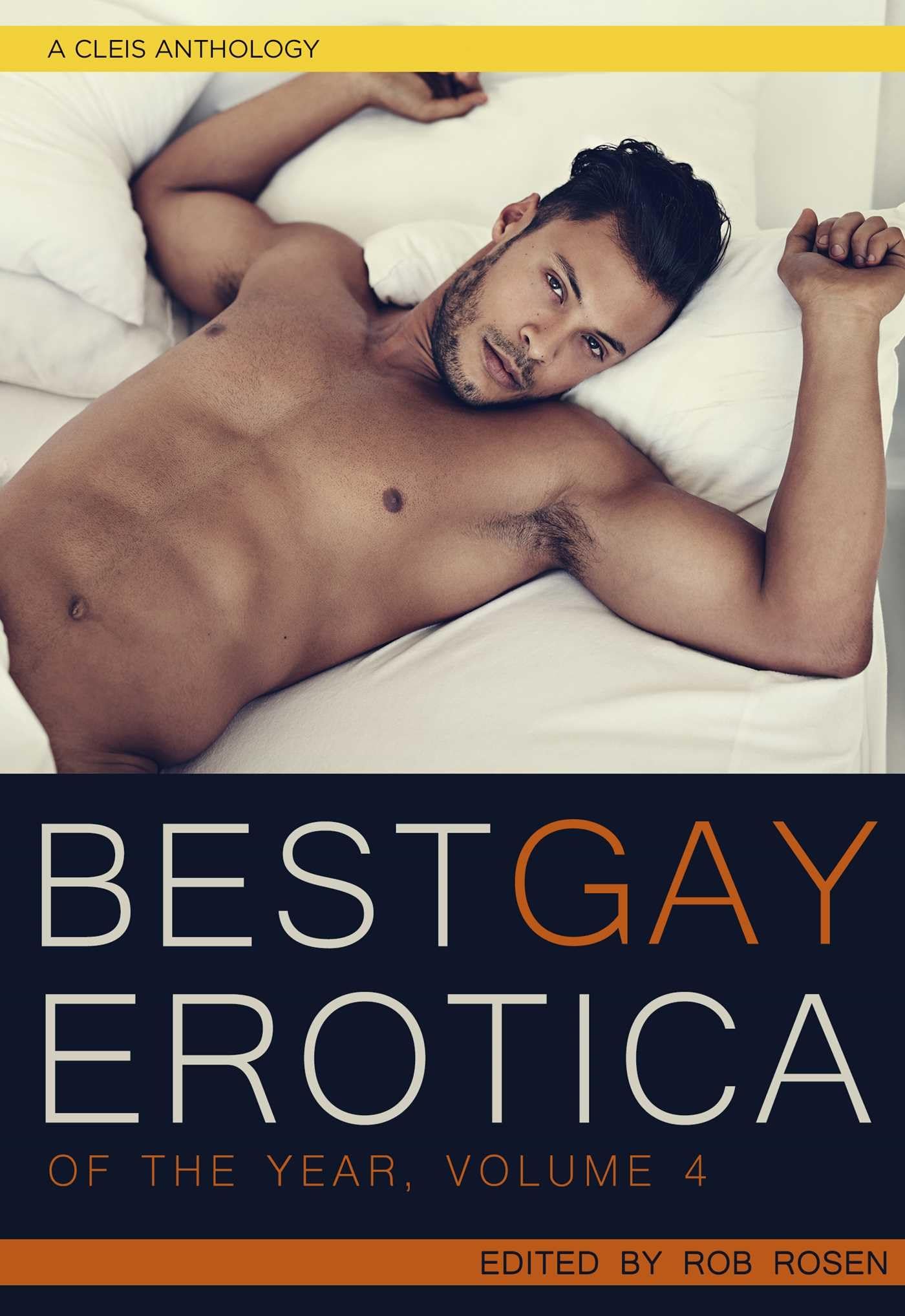 Best Gay Erotica of the Year, Volume 4: A Cleis Anthology