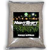 Kentucky Bluegrass Grass Seed &ndash; 5 lbs