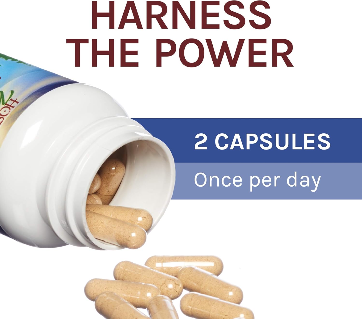 Host Defense, Stamets 7 Capsules, Daily Immune Support, Mushroom Supplement with Lion’s Mane, Reishi, Vegan, Organic, 30 Capsules (15 Servings): Health & Personal Care