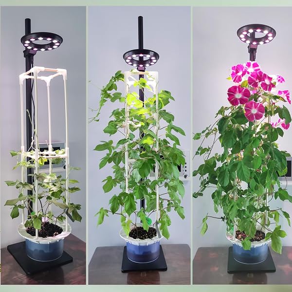 INDOOR PLANT HYDROPONICS GROWING SYSTEM TOWER KIT WITH GROW LIGHT,HERB VEGETABLE INDOOR GARDENING SYSTEM WITH STANDING FLOOR TALL LED GROW LIGHTS,HEIGHT ADJUSTABLE WITH STAND,TIMER,TRELLIS