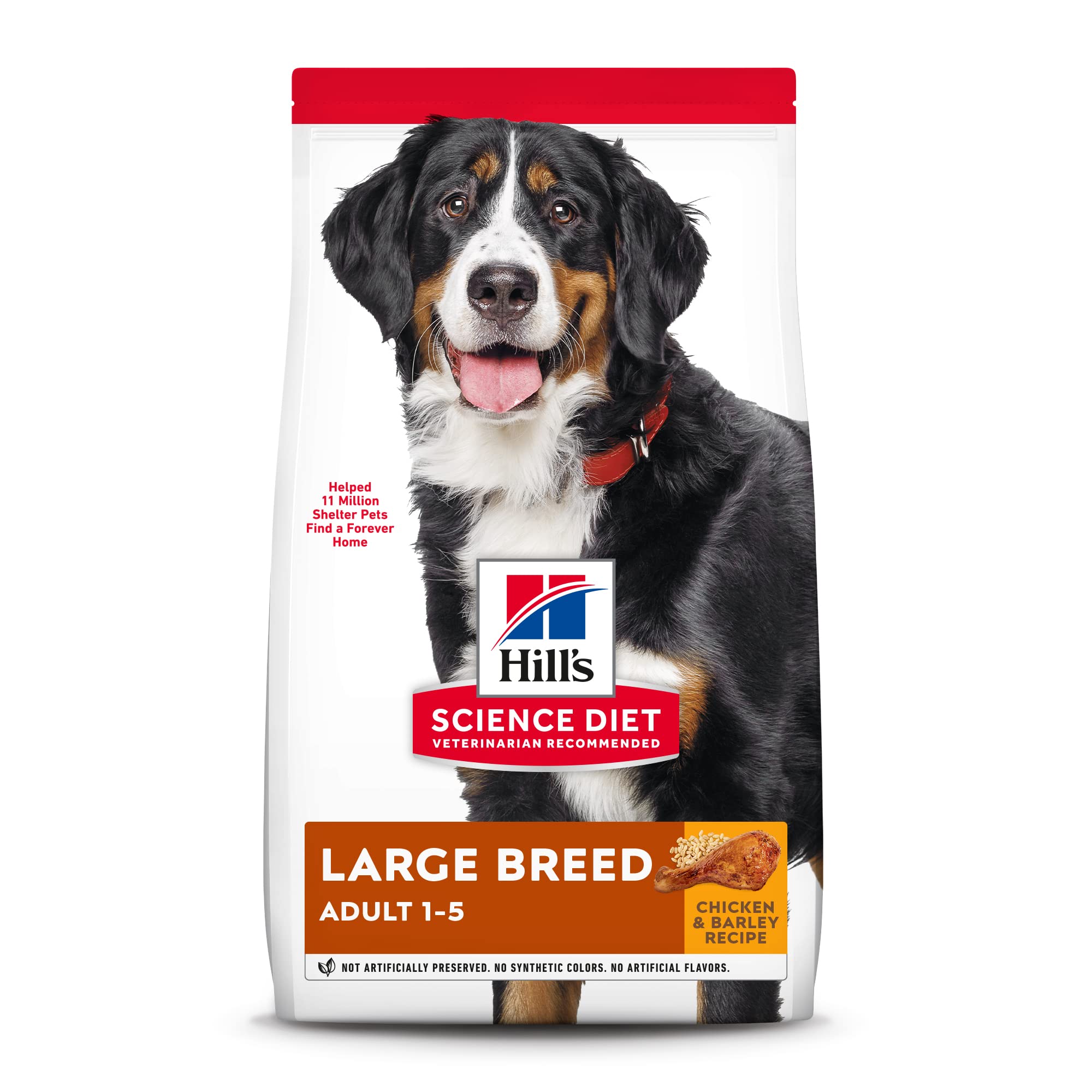 Hill's Science Diet Adult Large Breed Dry Dog