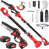 Upgraded 2-in-1 Cordless Pole Saw & 8 Inch Mini Chainsaw, Battery Powered Tree Trimmer with 6.6ft(2m) Extension Pole, 21V 4.0Ah x2 Batteries, Electric Chainsaw for Branch, Limb & Wood Cutting