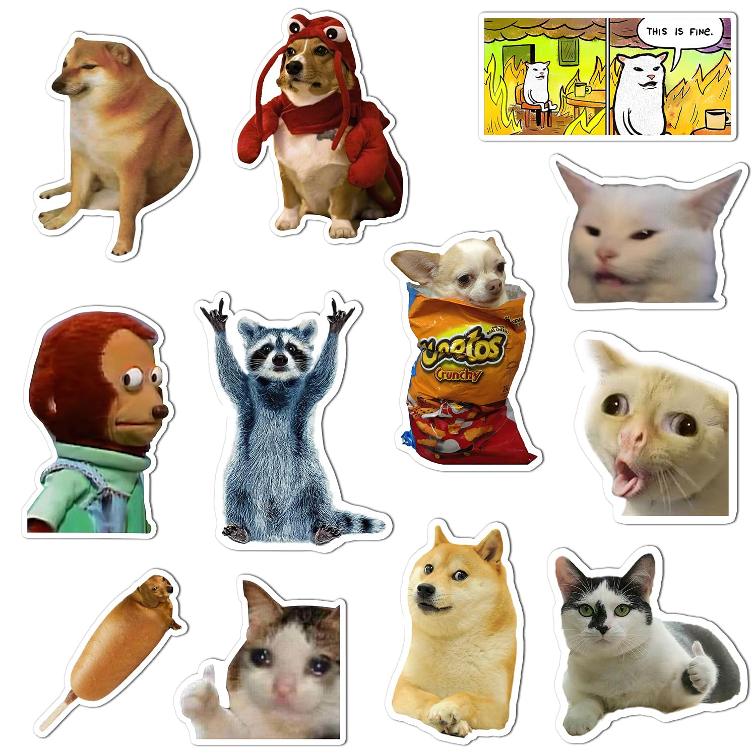 GTOTd Cat Meme Fridge Magnet (12 Pack). Gifts Merch Meme Decoartions Funny Magnet Bumper Sticker Decal Fridge Metal Magnet Flexible Reuseable Vinyl Magnetic Decor Teens