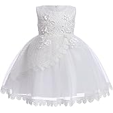Baby Girl Christening Baptism Gown Flower Embroidery Tutu Dress Special Occasion