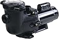 Amazon.com : Hayward SP3215X20 2 HP Pool Pump, TriStar