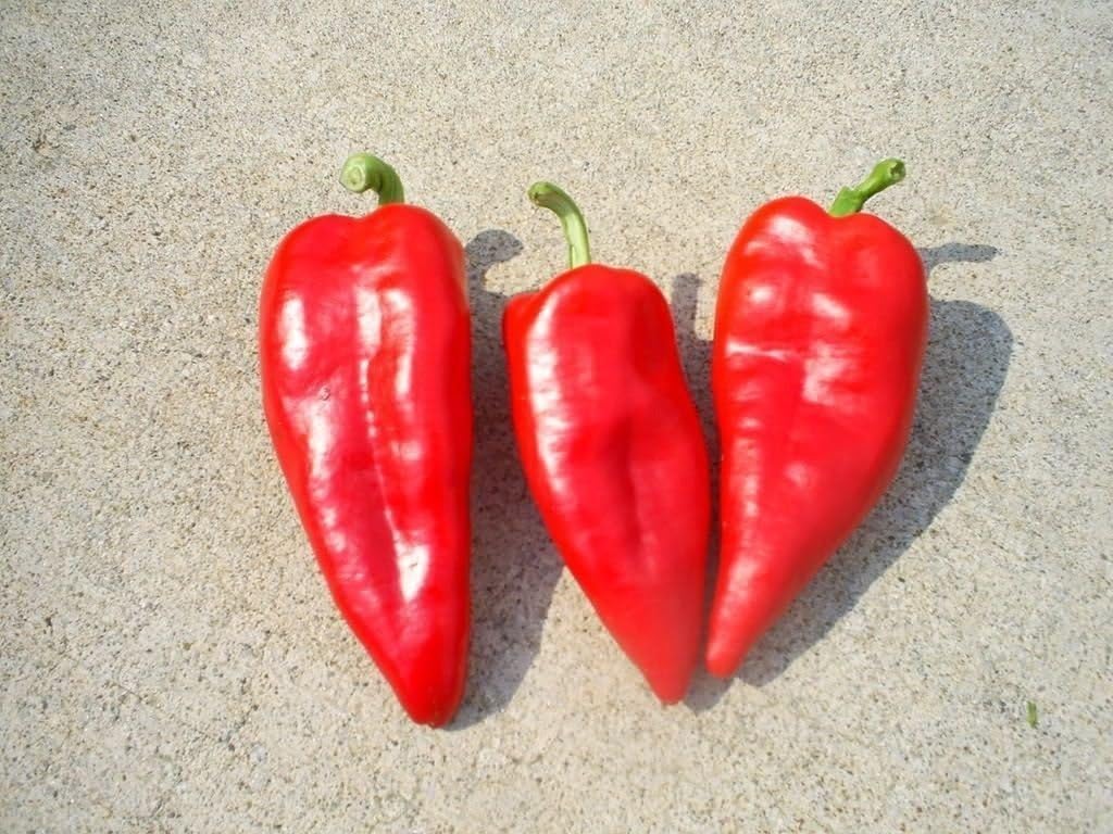 Download Amazon Com 10 Szegedi Giant Seeds Sweet Hungarian Paprika Free HD Get Wallpaper Amazon Com 10 Szegedi Giant Seeds Sweet Hungarian Paprika For Android