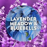 Air Wick Purple Lavender Meadow Plug In Refills 19ml Pack of 6 view 2